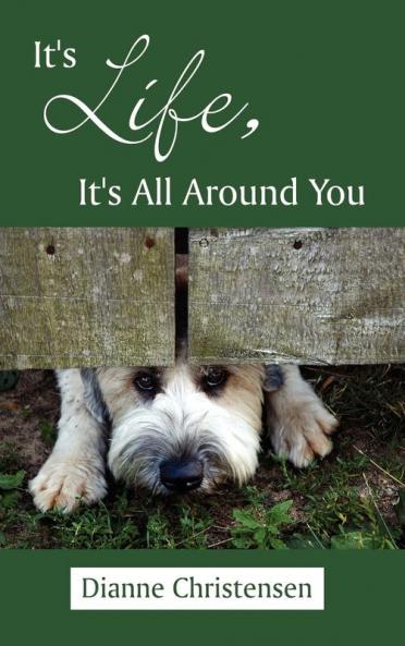 It's Life It's All Around You