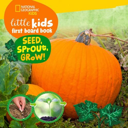 Little Kids First Board Book Seed Sprout Grow!