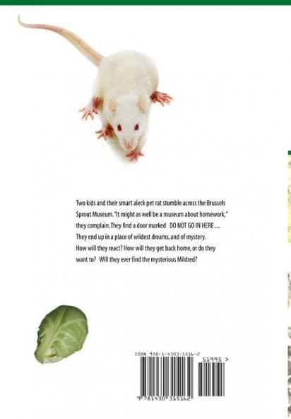 Pinky the Rat at the Brussels Sprout Museum