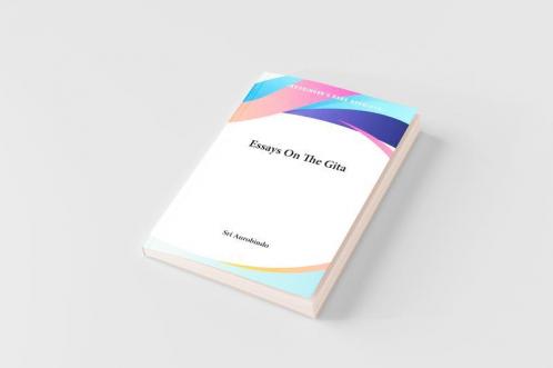 Essays On The Gita