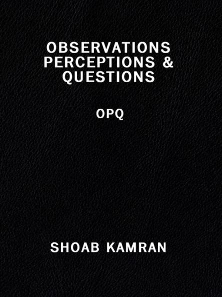 OBSERVATIONS PERCEPTIONS & QUESTIONS