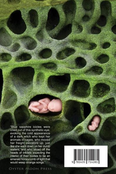 The Midnight Blade of Sonic Honey