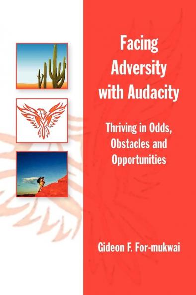 Facing Adversity with Audacity