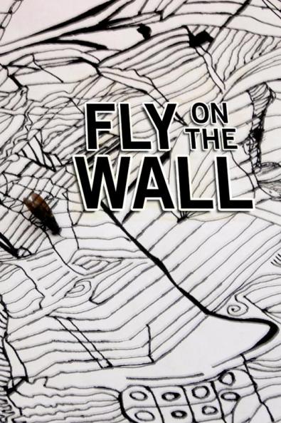 Fly on the Wall
