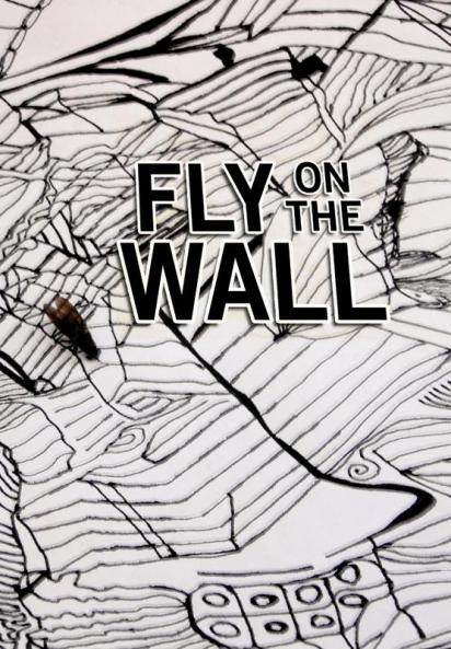 Fly on the Wall