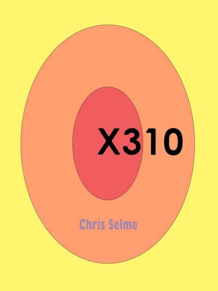 X310