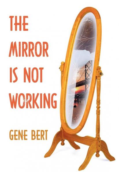The Mirror Is Not Working