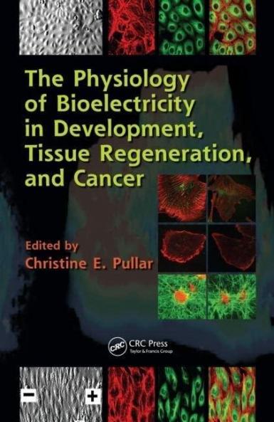 The Physiology of Bioelectricity in Development Tissue Regeneration and Cancer