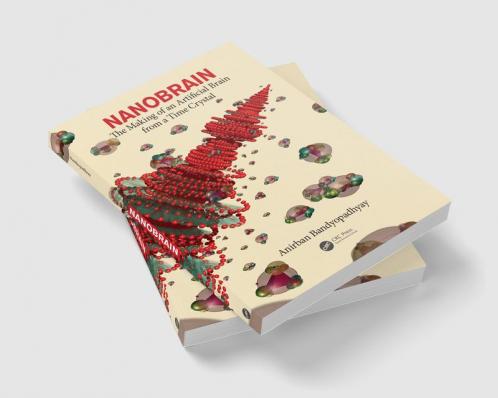 Nanobrain