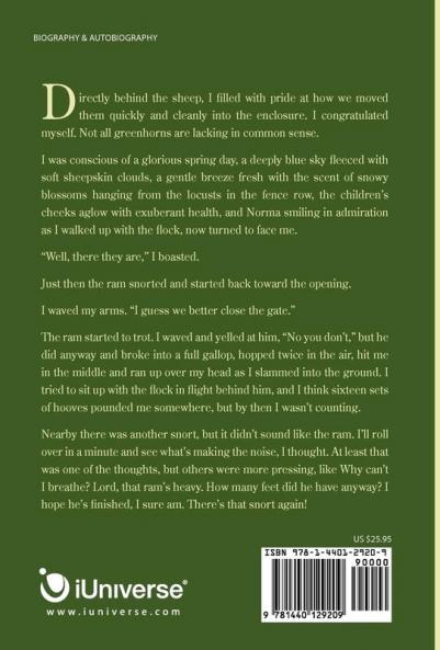 Frog Hollow Journal