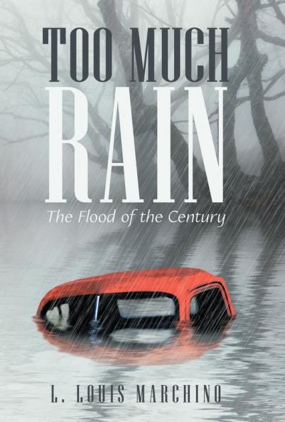 Too Much Rain