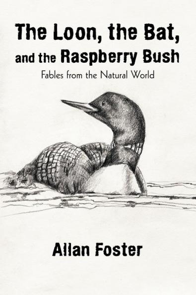 The Loon the Bat and the Raspberry Bush