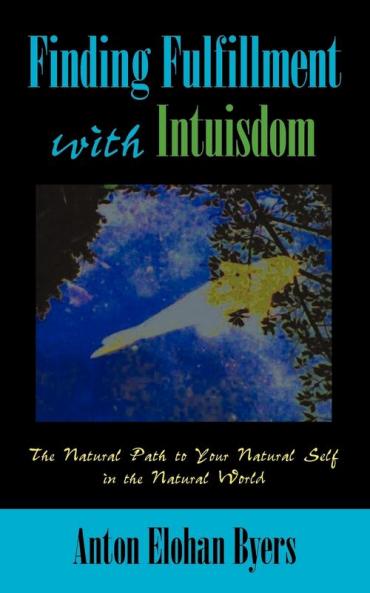Finding Fulfillment with Intuisdom