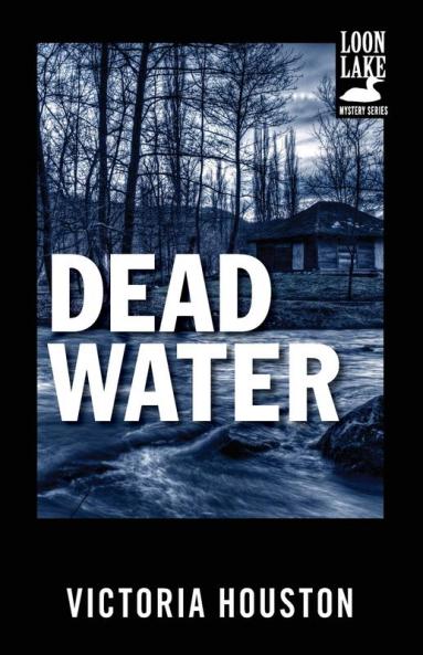 Dead Water (Volume 3) (A Loon Lake Mystery)