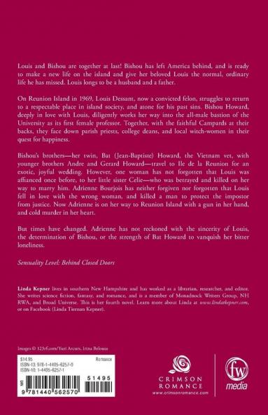Second Chance Sister (Volume 2) (The Howard Twins)