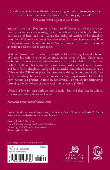 Wildflower Redemption: Book 2: Texas - Heart and Soul Series (Texas-Heart and Soul Series 1)