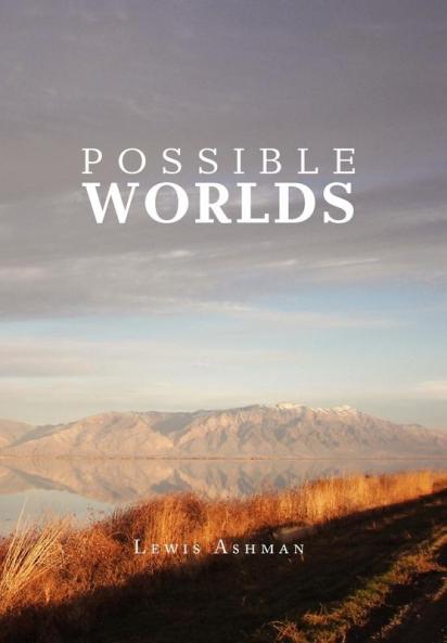 POSSIBLE WORLDS