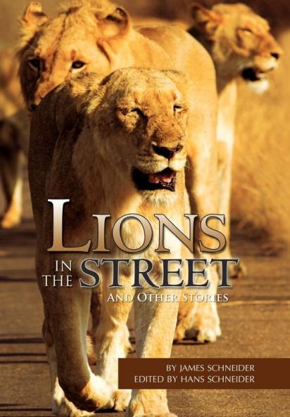 Lions in the Street