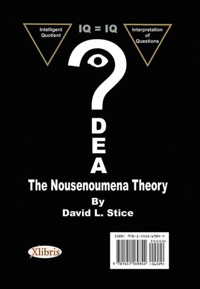 The Nousenoumena Questions