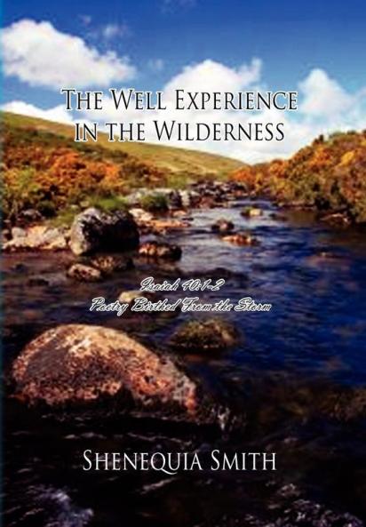 The Well Experience in the Wilderness