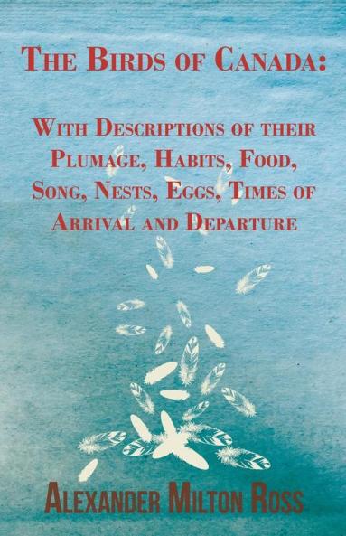The Birds Of Canada: With Descriptions of their Plumage Habits Food Song Nests Eggs Times of Arrival and Departure