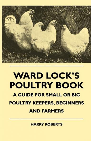 Ward Lock's Poultry Book - A Guide For Small Or Big Poultry Keepers Beginners And Farmers