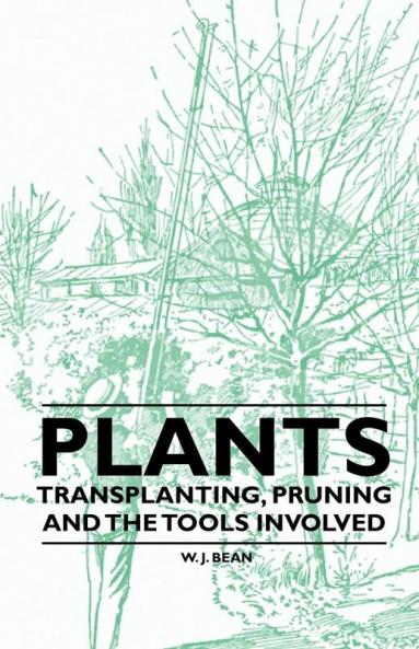 Plants - Transplanting Pruning and the Tools Involved