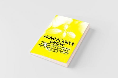 How Plants Grow - With Information on the Biology of Plant Cells Roots Leaves and Flowers
