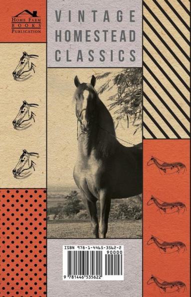 Diseases of Horses - The Respiratory Organs and the Alimentary Canal - With Information on Diagnosis and Treatment