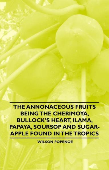The Annonaceous Fruits Being the Cherimoya Bullock's Heart Ilama Papaya Soursop and Sugar-Apple Found in the Tropics