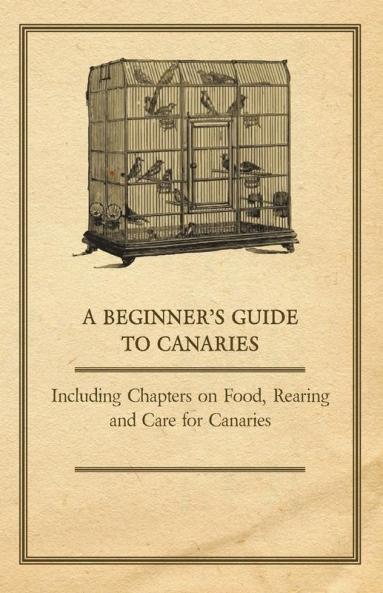 A Beginner's Guide to Canaries - Including Chapters on Food Rearing and Care for Canaries