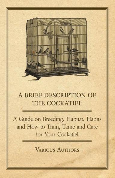 A Brief Description of the Cockatiel - A Guide on Breeding Habitat Habits and How to Train Tame and Care for Your Cockatiel