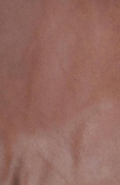 A Guide to the History of Leather - A Collection of Articles on the Leather Production Industry