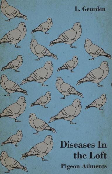 Diseases In The Loft - Pigeon Ailments.