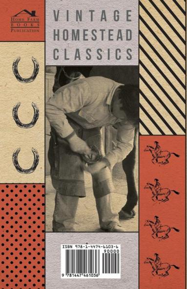 The Art of Training a Horse - A Collection of Classic Equestrian Magazine Articles