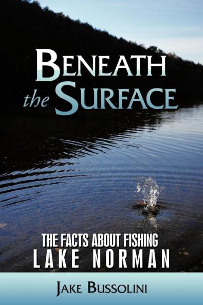 Beneath the Surface