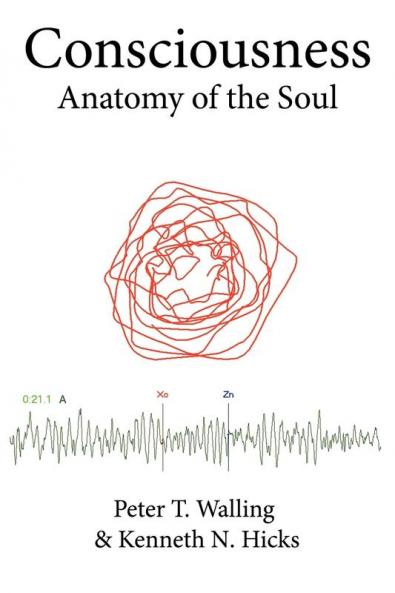 Consciousness: Anatomy of the Soul