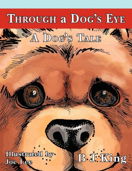 Through a Dog's Eye