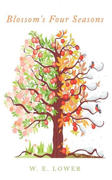 Blossom's Four Seasons