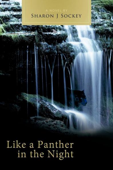 Like a Panther in the Night