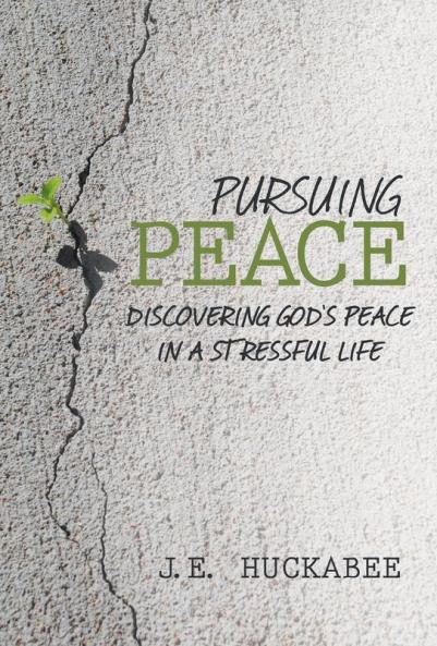 Pursuing Peace