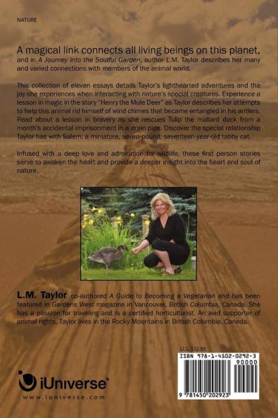 A Journey Into the Soulful Garden