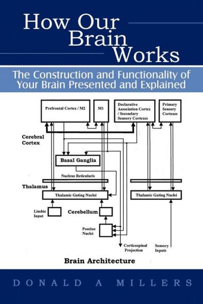 How Our Brain Works