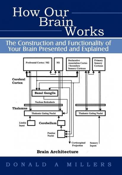 How Our Brain Works