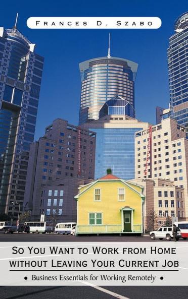 So You Want to Work from Home without Leaving Your Current Job