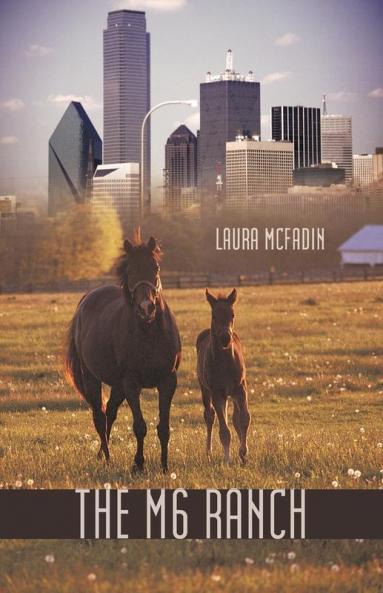 The M 6 Ranch