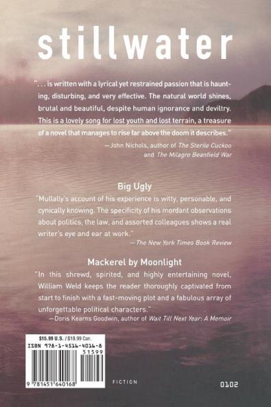 Stillwater: A Novel