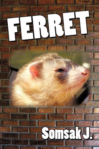 Ferret