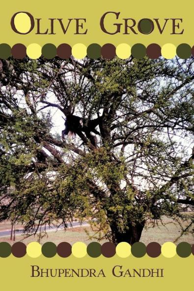Olive Grove