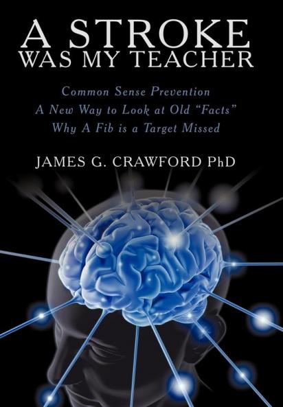 A Stroke Was My Teacher